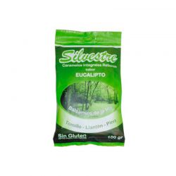 SILVESTRE CARAMELOS RELLENOS EUCALIPTO 100 G