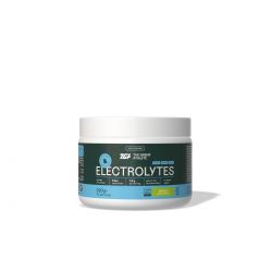 THE GREEN ATHLETE ELEKTOLYTES MANGO 320 G